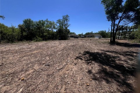 Terrain à vendre à Lehigh Acres, Floride № 2039884 - photo 3