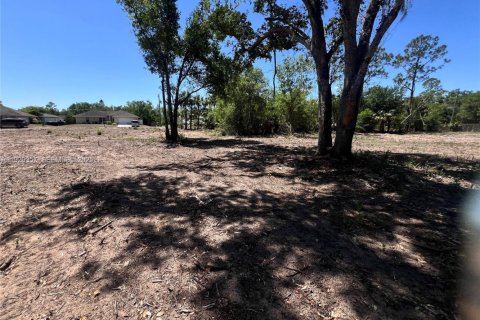 Terrain à vendre à Lehigh Acres, Floride № 2039884 - photo 4