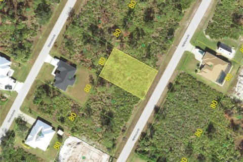 Land in Port Charlotte, Florida № 2165662