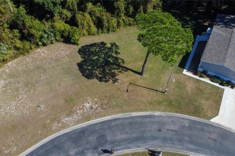 Land in Spring Hill, Florida № 2206186 - photo 2