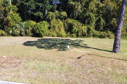 Terreno en Spring Hill, Florida № 2206186