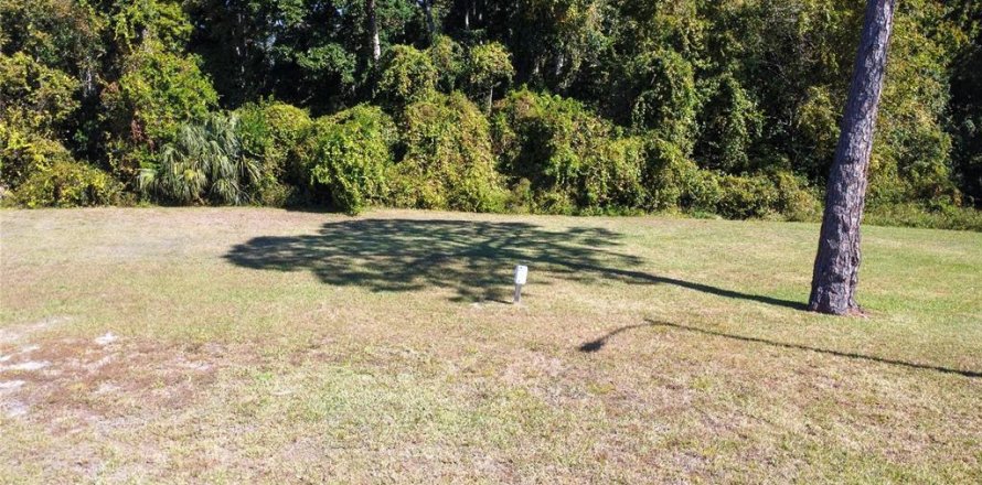 Land in Spring Hill, Florida № 2206186