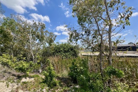 Land in Cape Coral, Florida № 1877372 - photo 3