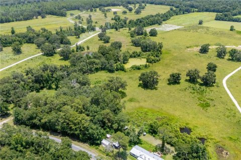 Land in Lake Butler, Florida № 1809897 - photo 3