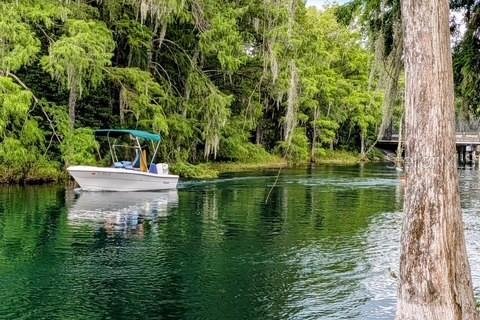 House in Dunnellon, Florida 4 bedrooms, 162.67 sq.m. № 2198975 - photo 7