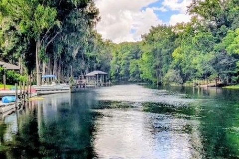 House in Dunnellon, Florida 4 bedrooms, 162.67 sq.m. № 2198975 - photo 6
