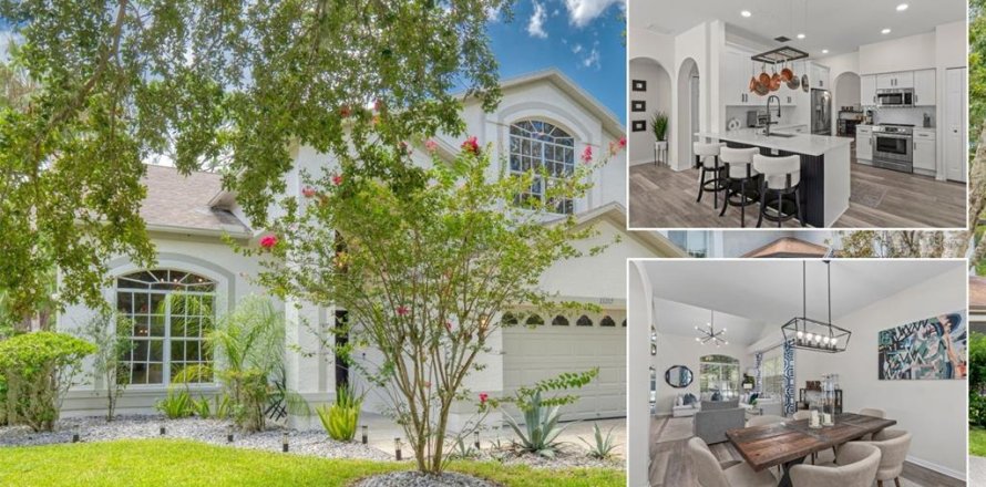 House in Odessa, Florida 4 bedrooms, 215.53 sq.m. № 1885091