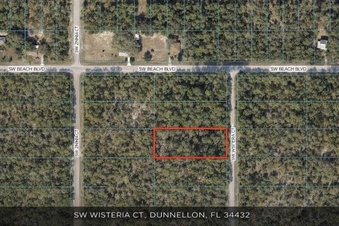 Terrain à Dunnellon, Floride № 2234518