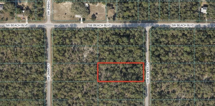 Terrain à Dunnellon, Floride № 2234518