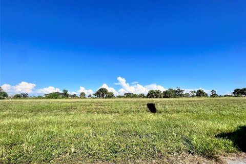Land in Cape Coral, Florida № 2275692 - photo 2