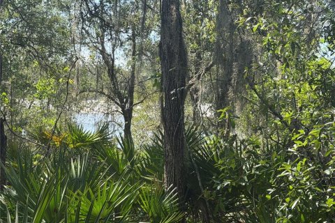 Land in Ocklawaha, Florida № 2203603 - photo 3