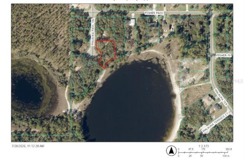 Land in Ocklawaha, Florida № 2203603 - photo 5