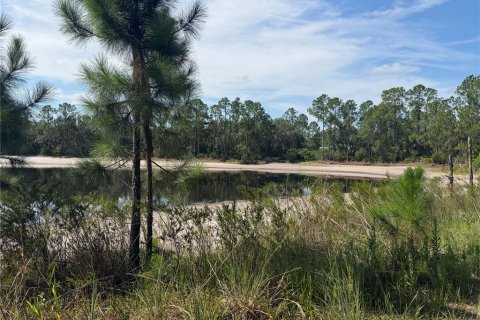 Land in Ocklawaha, Florida № 2203603