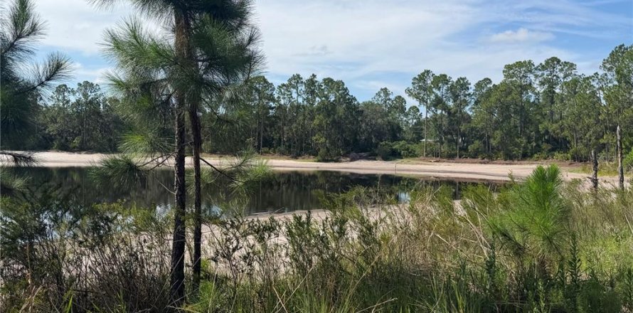 Land in Ocklawaha, Florida № 2203603