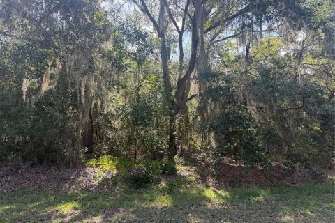 Land in Ocklawaha, Florida № 2203603 - photo 2