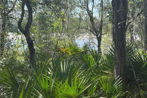 Land in Ocklawaha, Florida № 2203603 - photo 4