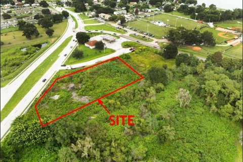 Land in Winter Haven, Florida № 2394045 - photo 3