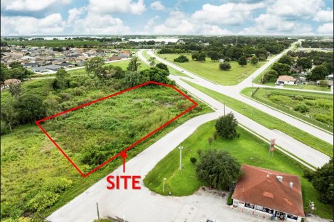Land in Winter Haven, Florida № 2394045 - photo 2