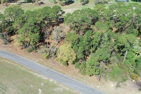 Terreno en venta en Spring Hill, Florida № 1571942 - foto 1