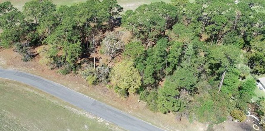 Terreno en Spring Hill, Florida № 1571942