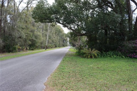 Terreno en venta en DeLand, Florida № 214592 - foto 2