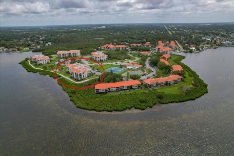 Condo à Tarpon Springs, Floride, 1 chambre № 2107603