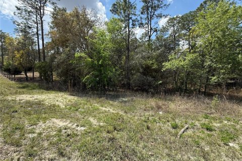 Land in Morriston, Florida № 2160581 - photo 2