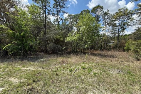 Land in Morriston, Florida № 2160581 - photo 5