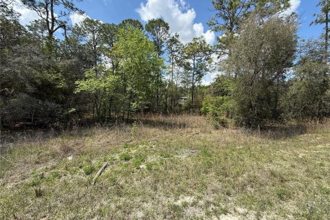 Land in Morriston, Florida № 2160581 - photo 4