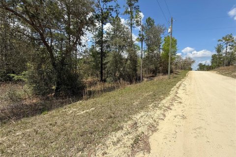 Land in Morriston, Florida № 2160581 - photo 3