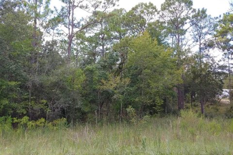 Land in Morriston, Florida № 2160581