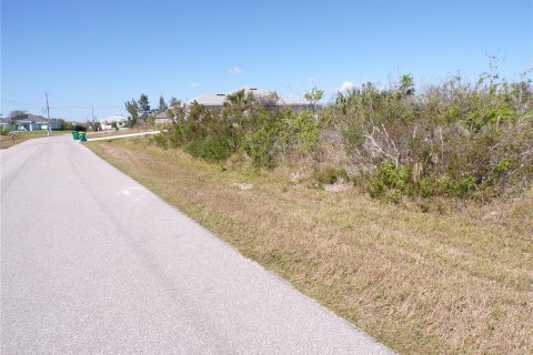 Land in Port Charlotte, Florida № 2160900 - photo 10