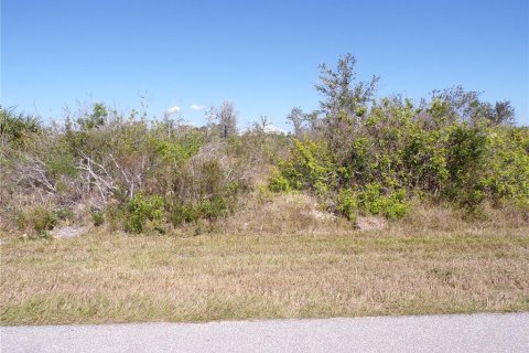 Land in Port Charlotte, Florida № 2160900 - photo 8