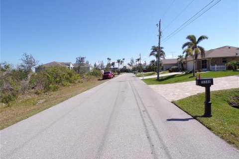 Land in Port Charlotte, Florida № 2160900 - photo 5