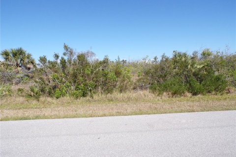 Land in Port Charlotte, Florida № 2160900 - photo 2