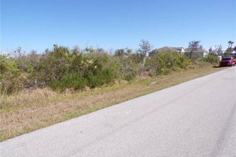 Land in Port Charlotte, Florida № 2160900 - photo 4