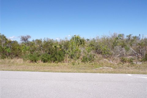 Land in Port Charlotte, Florida № 2160900
