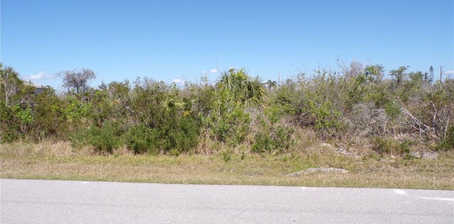 Land in Port Charlotte, Florida № 2160900
