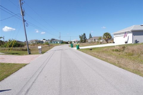 Land in Port Charlotte, Florida № 2160900 - photo 6