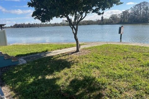 Terrain à Tavares, Floride № 2102043