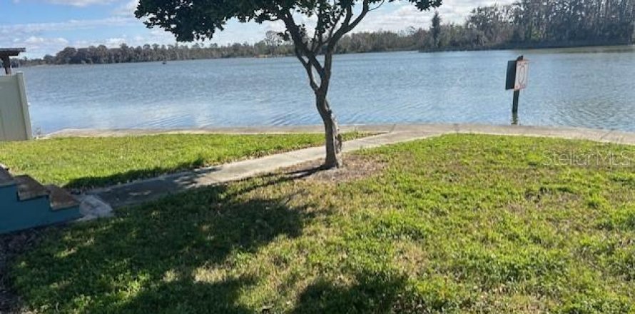 Terrain à Tavares, Floride № 2102043