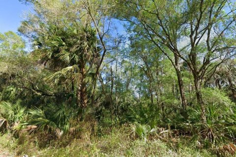 Terrain à vendre à Crystal River, Floride № 2197085 - photo 2