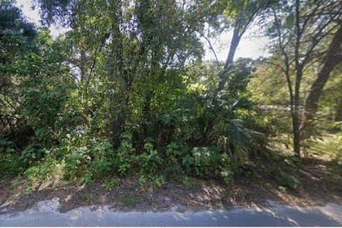 Land in Citra, Florida № 2160566
