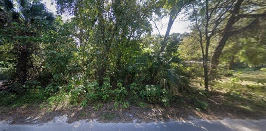 Land in Citra, Florida № 2160566