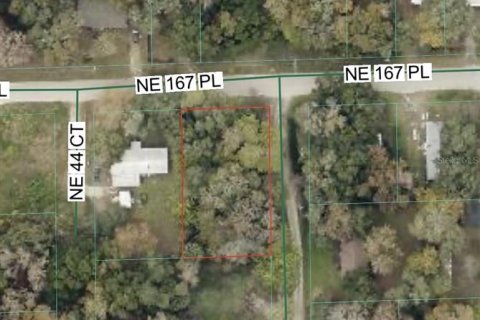 Land in Citra, Florida № 2160566 - photo 2