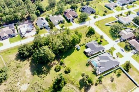 Land in Palm Coast, Florida № 1742810 - photo 4