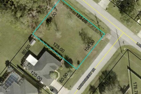 Land in Palm Coast, Florida № 1742810 - photo 2
