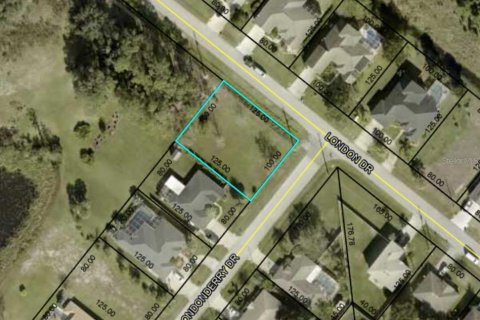 Land in Palm Coast, Florida № 1742810 - photo 13
