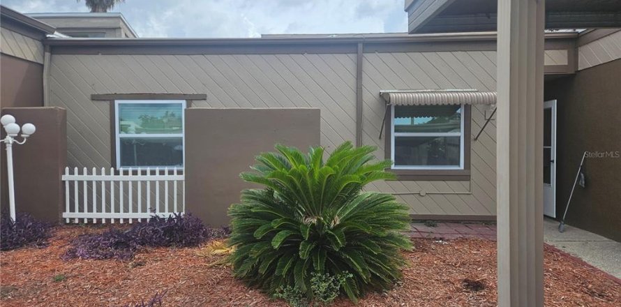 Studio in Holiday, Florida № 2390998