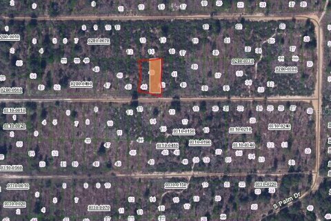 Land in Interlachen, Florida № 2159475 - photo 2
